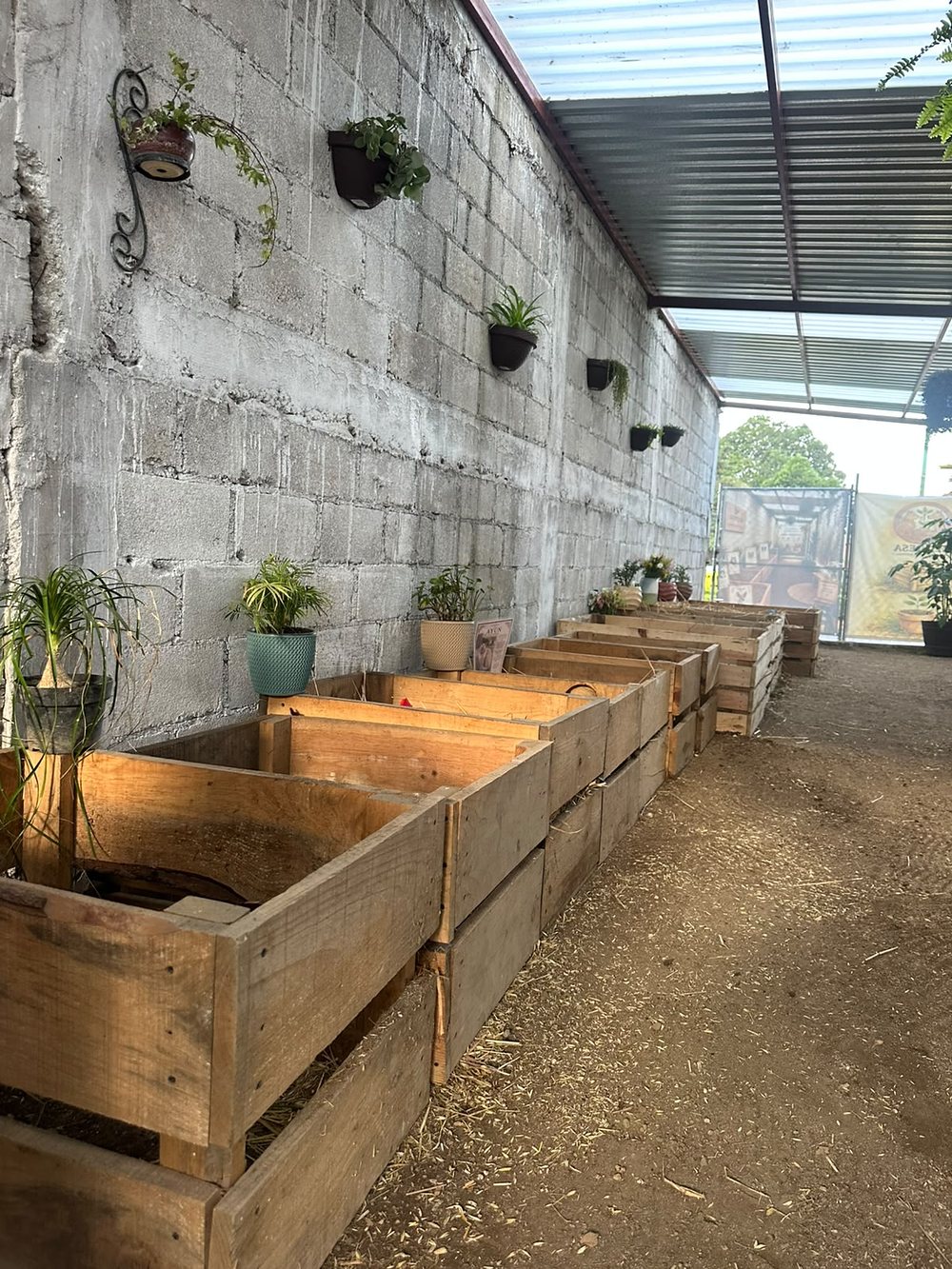 Corredor del compostario con camas de madera con paja, macetas en el muro y luz natural desde el techo