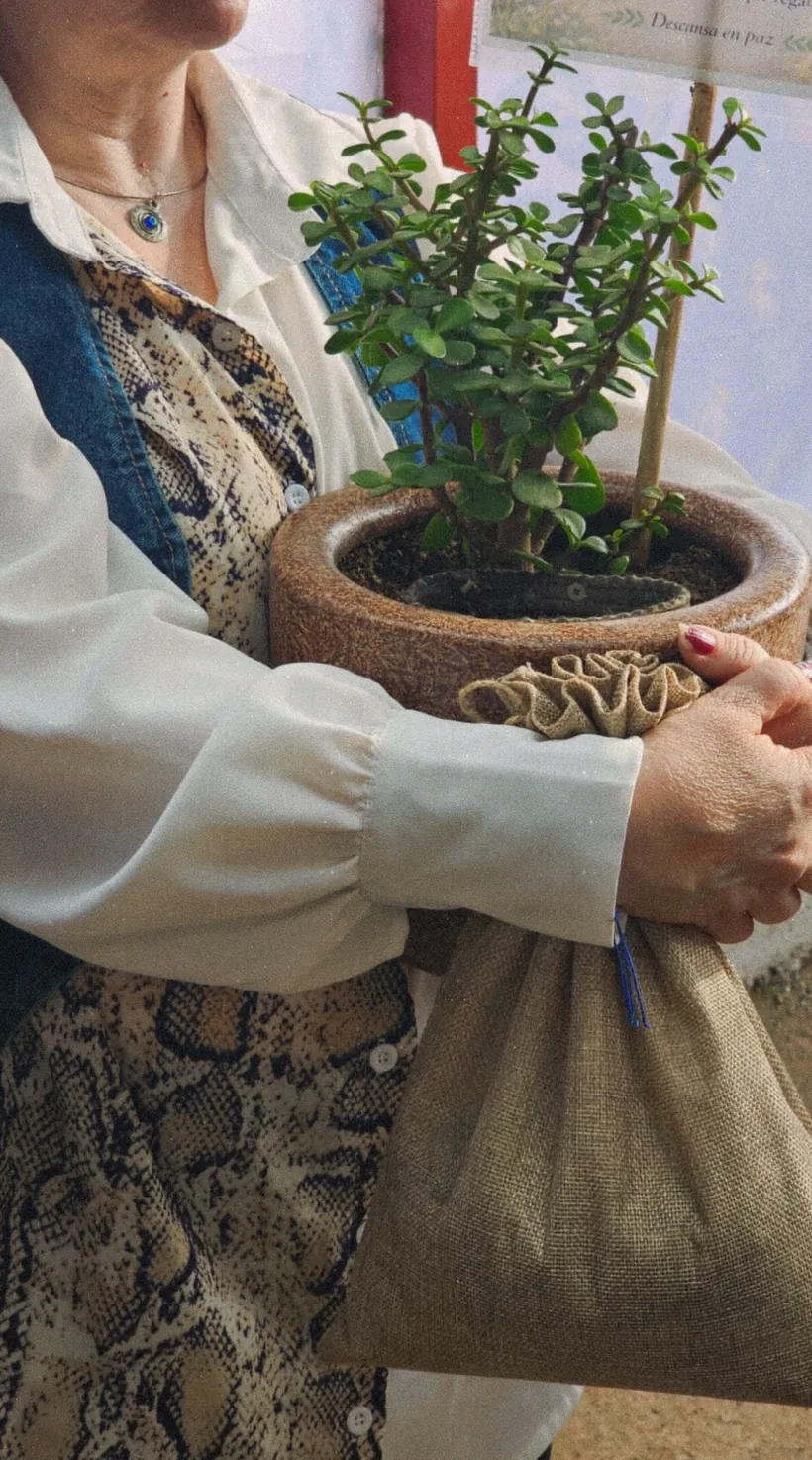 Primer plano de unas manos que sostienen contra el pecho una maceta con una planta verde y un costalito de yute