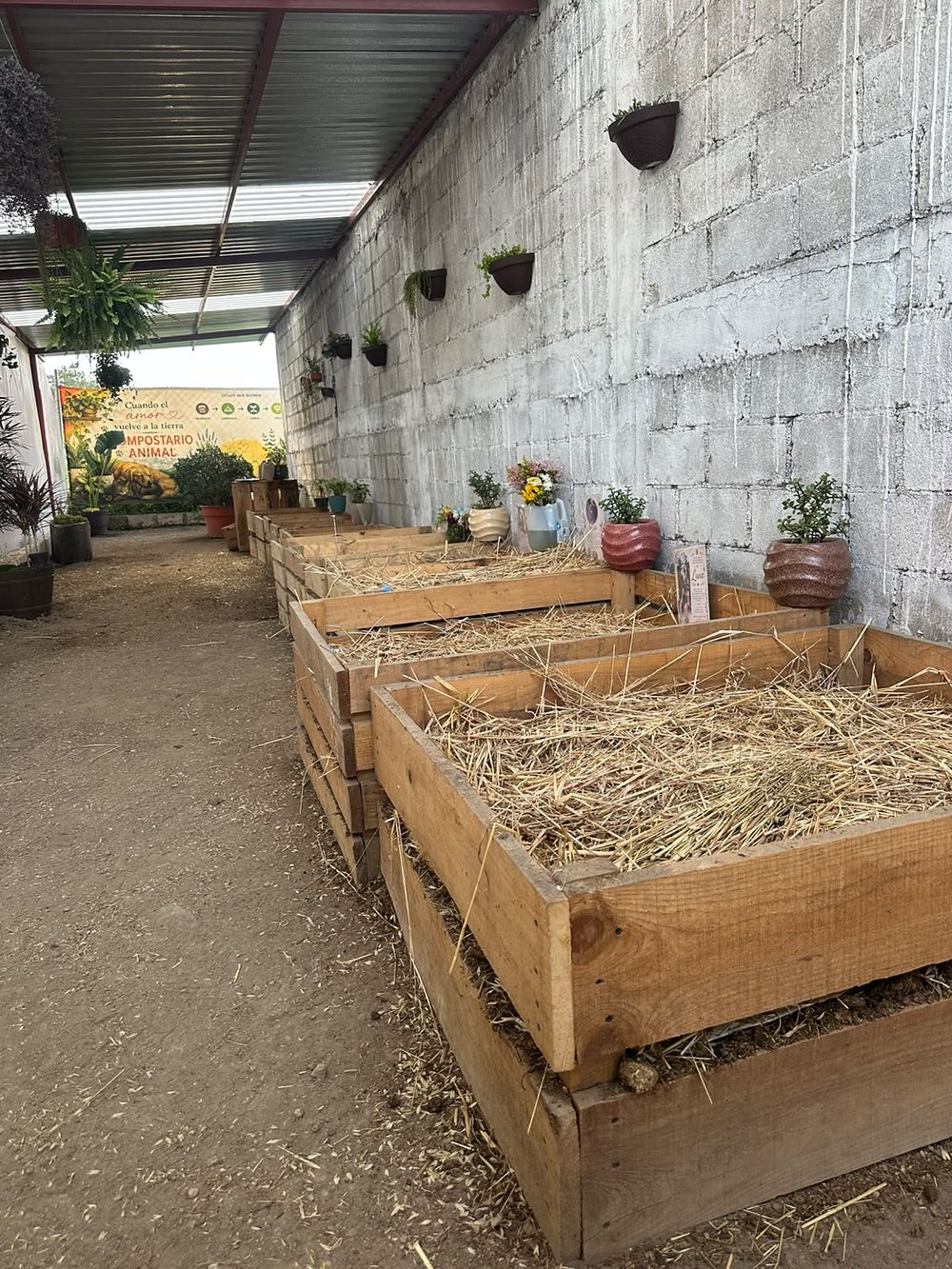 Pasillo del compostario con camas de madera con paja, plantas y macetas colgadas en el muro