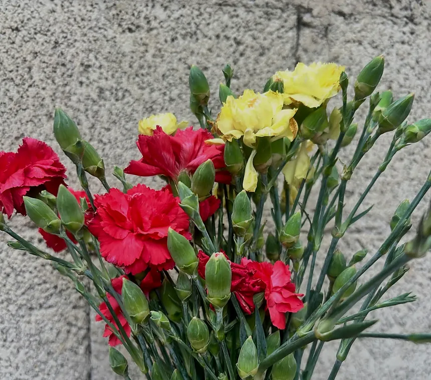 Un ramo de claveles rojos y amarillos que una familia llevó a la cama de su compañero en el compostario
