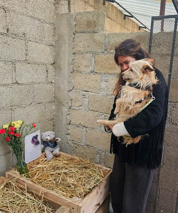 Una mujer abraza a su perrito junto a su cama de composta, rodeada de flores, su fotografía y un peluche