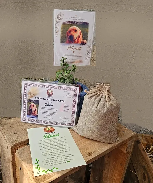 La entrega de Monet: su planta, su esquela con su fotografía, su certificado y su costalito de yute