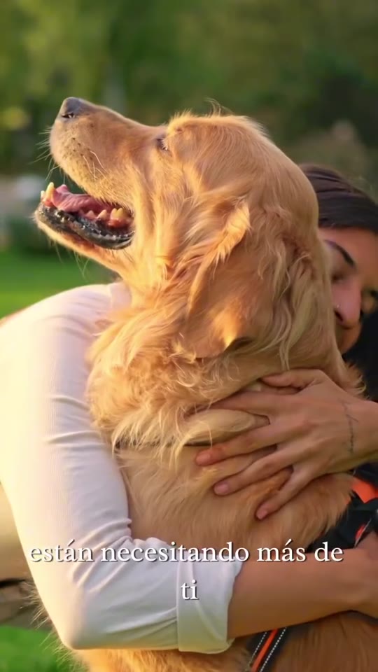 Una mujer abraza a su perro golden retriever al aire libre