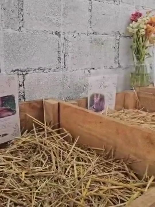Camas de composta con paja, fotografías de compañeros y un ramo de flores junto al muro